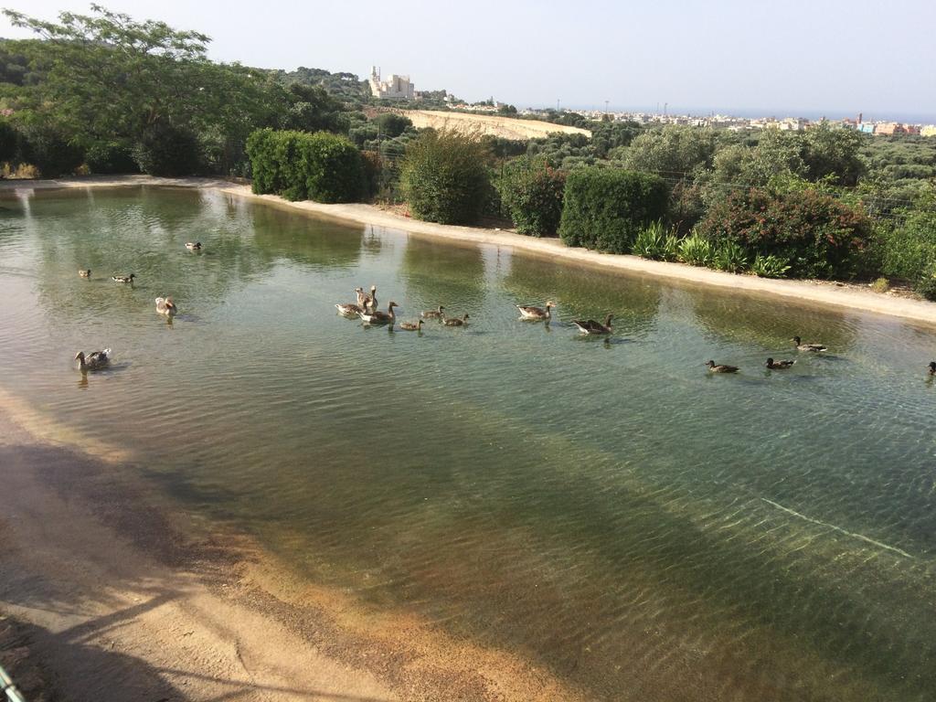 Hébergement de vacances Giardinelli - Vale Fasano